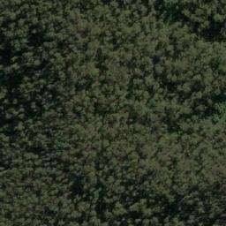 Satellite imagery of Rich Hill, AU