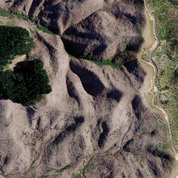 Satellite imagery of 1910 TIKITIKI, NZ
