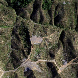 Satellite imagery of 1910 TIKITIKI, NZ