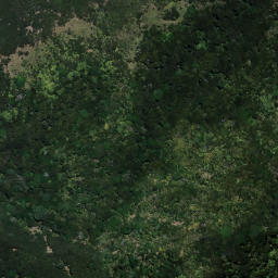 Satellite imagery of TIKIRAU, NZ
