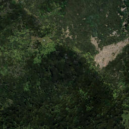 Satellite imagery of TIKIRAU, NZ