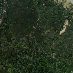 Satellite imagery of TIKIRAU, NZ