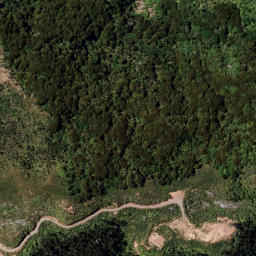 Satellite imagery of 1331 RUAHAKOAKOA, NZ
