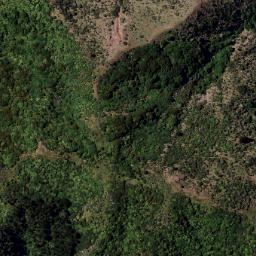 Satellite imagery of 1331 RUAHAKOAKOA, NZ