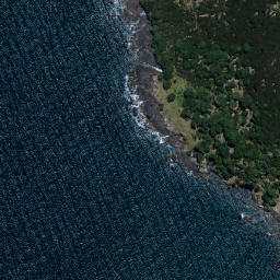Satellite imagery of Kopongatahi Point, NZ