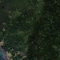 Satellite imagery of Kopongatahi Point, NZ