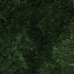 Satellite imagery of TIKIRAU, NZ