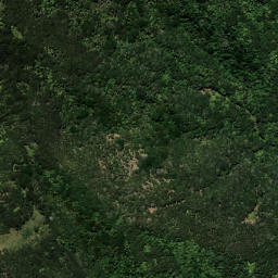 Satellite imagery of TIKIRAU, NZ