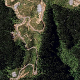 Satellite imagery of 1331 RUAHAKOAKOA, NZ