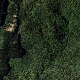 Satellite imagery of 1331 RUAHAKOAKOA, NZ