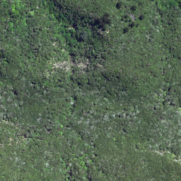 Satellite imagery of 6231, NZ