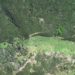 Satellite imagery of 6231, NZ