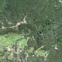 Satellite imagery of 6231, NZ