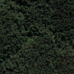 Satellite imagery of Mount Reed, AU