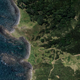 Satellite imagery of Kopongatahi Point, NZ