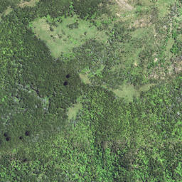 Satellite imagery of 6231, NZ