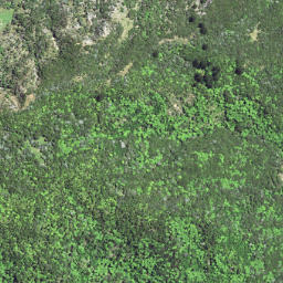 Satellite imagery of 6231, NZ