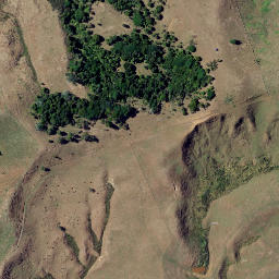 Satellite imagery of 1907 NO 2, NZ