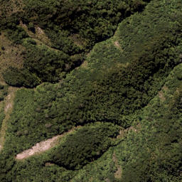 Satellite imagery of Wahine Rock, NZ