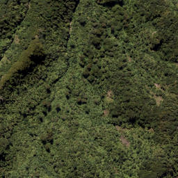 Satellite imagery of Wahine Rock, NZ