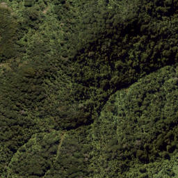 Satellite imagery of Wahine Rock, NZ