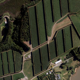 Satellite imagery of Puketutu Point, NZ