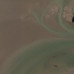Satellite imagery of Puketutu Point, NZ