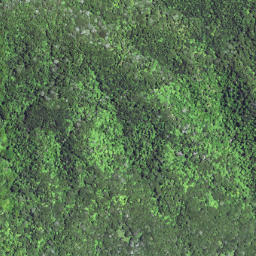 Satellite imagery of 6231, NZ