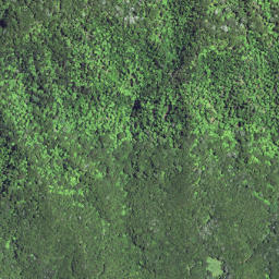 Satellite imagery of 6231, NZ