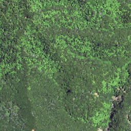 Satellite imagery of 6231, NZ