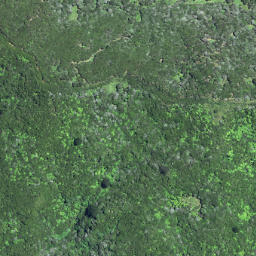 Satellite imagery of W53 PATANGATA, NZ