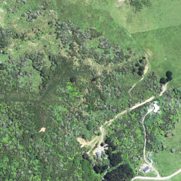 Satellite imagery of Hicks Bay, NZ