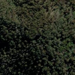 Satellite imagery of Mount Tara, AU