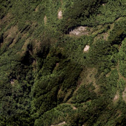 Satellite imagery of Wahine Rock, NZ