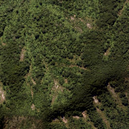 Satellite imagery of Wahine Rock, NZ