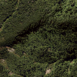 Satellite imagery of Wahine Rock, NZ