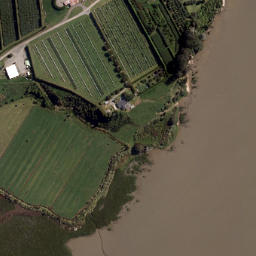 Satellite imagery of Puketutu Point, NZ