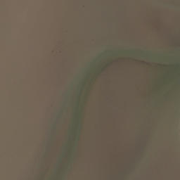 Satellite imagery of Puketutu Point, NZ