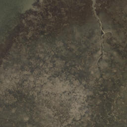 Satellite imagery of Matahui Point, NZ