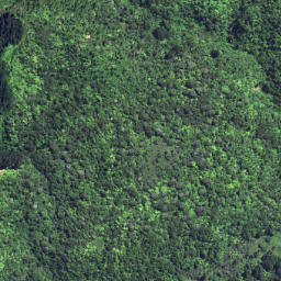 Satellite imagery of 6252, NZ