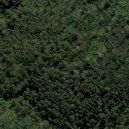 Satellite imagery of Jungle Hill, AU
