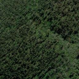 Satellite imagery of Jungle Hill, AU