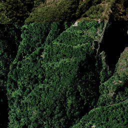 Satellite imagery of Wahine Rock, NZ