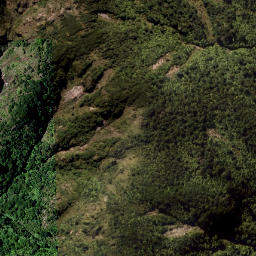 Satellite imagery of Wahine Rock, NZ