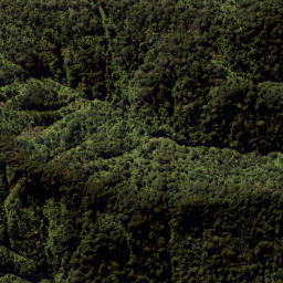 Satellite imagery of Wahine Rock, NZ