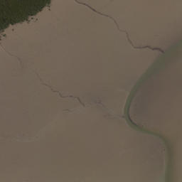 Satellite imagery of Puketutu Point, NZ