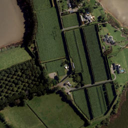 Satellite imagery of Puketutu Point, NZ