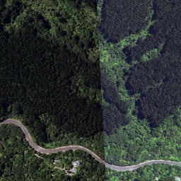 Satellite imagery of 6251, NZ