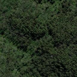 Satellite imagery of Jungle Hill, AU