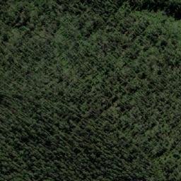 Satellite imagery of Jungle Hill, AU